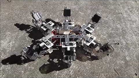biomimetic hexapod robot