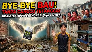 Dulu Dimusuhi Tetangga, Sekarang Sukses Ternak Ayam Ternyata Ini Rahasia Kandang Kering & Bebas Bau