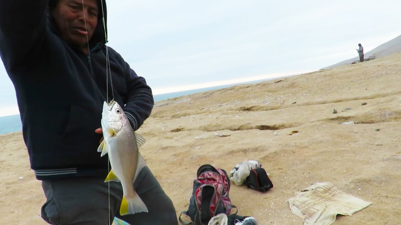 ¡¡ OBSERVA!! COMO SE PESCA CON CARNADA MUY MUY