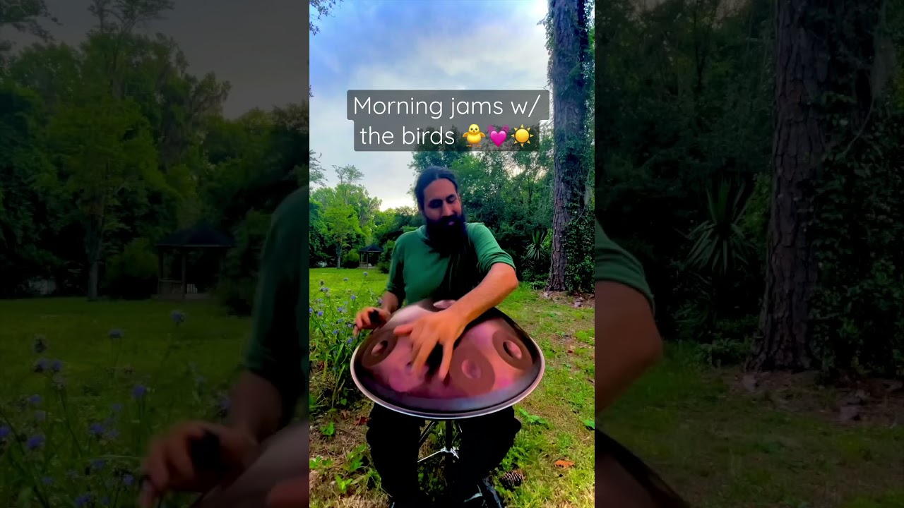 Morning jam with birds 🙂 Ayasa D Kurd