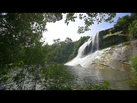 فيديو للتصميم بدون حقوق شلال في الغابة A Waterfall In The Woods بدقة عالية HD 