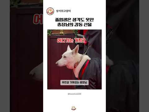 졸업식날 생각지도 못한 서프라이즈 선물을 받은 강아지?