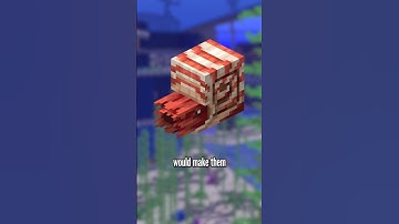 the nautilus theory...