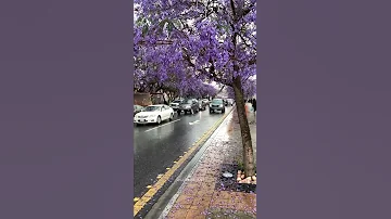 غرام اثنين فهد بن فصلا 2022 تصميم 