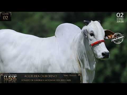 Lote 02 - Aguilera Ourofino - OURO 3748