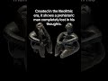 The 7,000-Year-Old Overthinker 🗿✨ | The Thinker of Hamangia #history