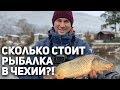 Сколько стоит рыбалка в Чехии?! В России возможен такой подход к рыбалке?