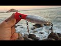 pesca sobre rocas CON POPPER|| ataques en superficie