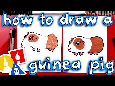 Video: How To Draw A Guinea Pig