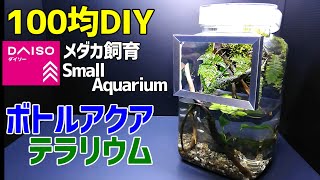 ボトルアクアテラリウム 作り方100均diy メダカも植物も楽しめるミニミニ水槽をダイソーアイテムで作成 How To Make A Tabletop Moss Aquaterrarium こっさんch