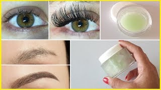 How To Grow Long, Strong, Thicker Eyebrows & Eyelashes In Just 7 Days | 100% Working