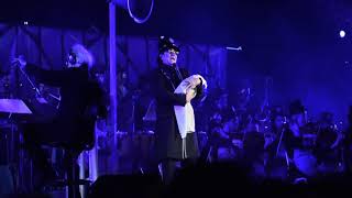 RENATO ZERO "DEDICATO A TE" (ZEROVSKIJ LAJATICO 29.07.17) RENATO ZERO