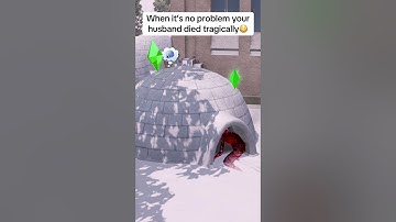 Woohoo-ing in an igloo, The Sims 3