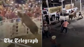 video: Watch: Bull charges into crowd after escaping rodeo ring in US