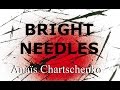 Bright Needles by Anaïs Chartschenko- Book Trailer