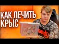 ПЯТЁРКА РАССКАЗЫВАЕТ КАК ОН БУДЕТ ЛЕЧИТЬ КРЫС | Нарезка Стрима Фуга ТВ