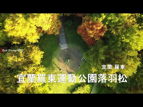 落羽松多采多姿!!宜蘭羅東運動公園|宜蘭羅東|島嶼的蒼穹空拍336|4K空拍-Bee Show-2022 TAIWAN