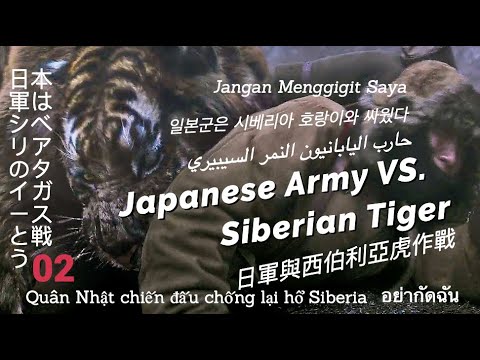 Gladiator Siberian Tiger Hunting Army 日本軍はシベリアのタイガースと戦う Tentera Lawan Harimau Siberia 日軍與西伯利亞虎作戰