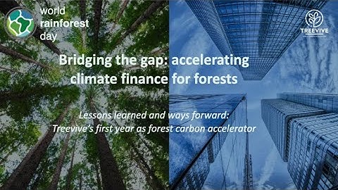 Trailer Treevive webinar | Lessons learned and ways forward (Summary)