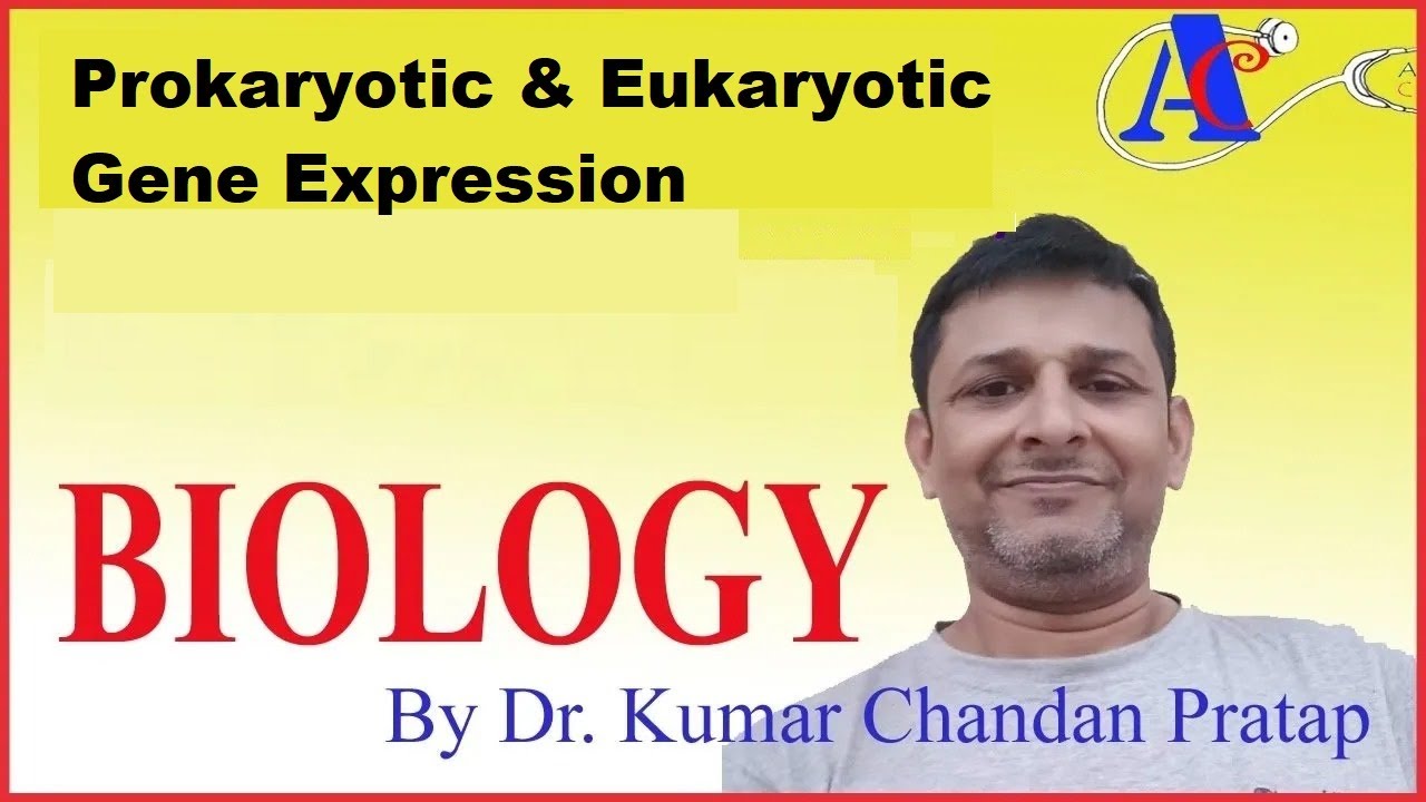 Prokaryotic & Eukaryotic Gene Expression