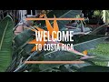 Costa Rica Day 1: Welcome to Costa Rica