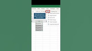 Change Text Orientation in #excel #shorts