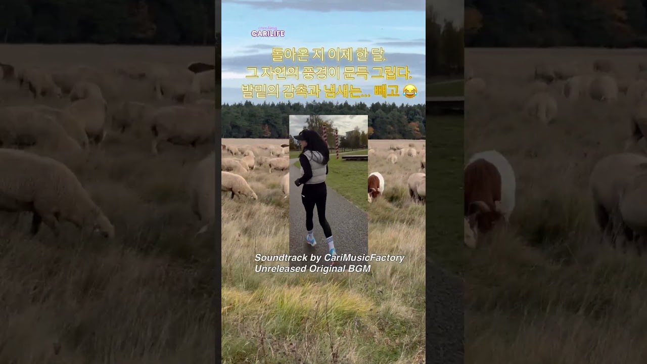 뮌헨 러닝 흑역사 소환 🐑💩Munich Running Black History Unlocked 🐑💩