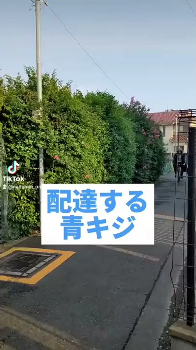 ワンピースモノマネ