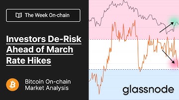 The Week On-chain: Investors De-Risk Ahead of Rate Hikes - Week 7, 2022 (Bitcoin Onchain Analysis)