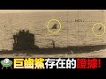 Megalodon 巨齒鯊存在的證據! 南非深海遇袭沉没, 船上无一人生还!