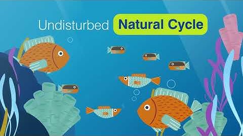 The importance of fisheries management