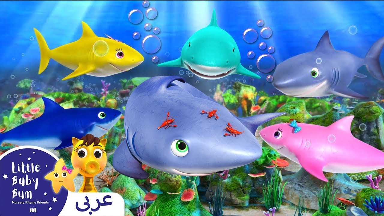 اغاني اطفال | كليب اغنيه القرش الطفل | اغنية بيبي  شارك | ليتل بيبي بام | Arabic Baby Shark Songs