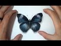 Speed Art : Butterfly  ƸӜƷ