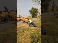 Allah Tala ke madad 😭 #ytshorts #news #prayer #today #trending #emotional #shorts