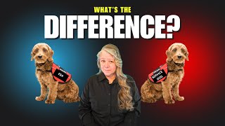 🐕‍🦺 Emotional Support vs. Psychiatric Service Animals: The Untold Truth! 🐕