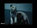 Rick Ross, French Montana &amp; Max B – Minks In Miami (Official Video)