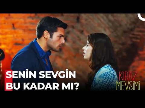 Ayaz'ı Delirttiniz Tebrikler - Kiraz Mevsimi