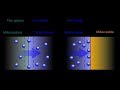 Adsorption vs Absorption