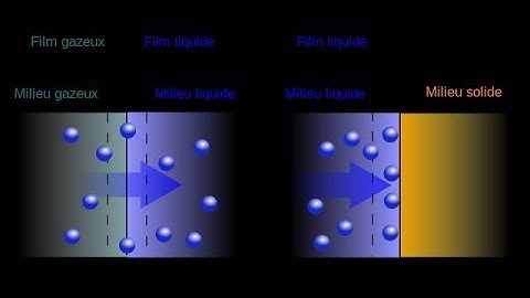 Absorption vs Adsorption  【4K】