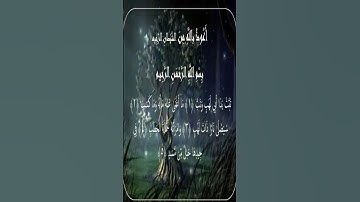Sourate Al-Masad | Idriss Abkar (111) سورة المسد | إدريس أبكر