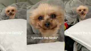 TikTok Changes Everything: Major Platform Shift | AI Remix Risks | Genius Travel Hacks Revealed