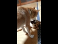 いくつになっても親子は親子 #Shorts