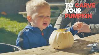 PYO Pumpkin Experience (2021)
