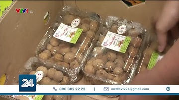 Nhãn lồng Hưng Yên tiếp cận thị trường Châu Âu | VTV24