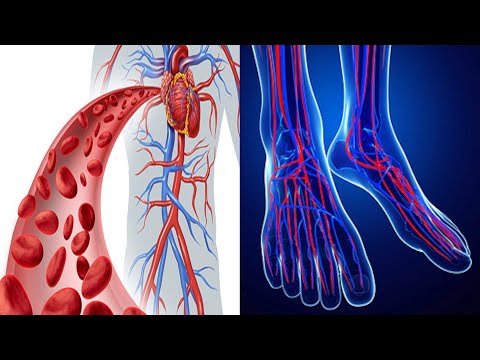 Poor Blood Circulation Cold Feet and Hands, Here Is How to Solve Your Problem!