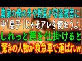 【スカッとする話】農家の俺の米や野菜が窃盗被害に！中1息子「じゃあアレを使おうよ」しれっと罠を仕掛けると、驚きの人物が救急車で運ばれｗ【朗読・心にしみる話】