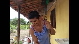 Faxinando a área de serviço