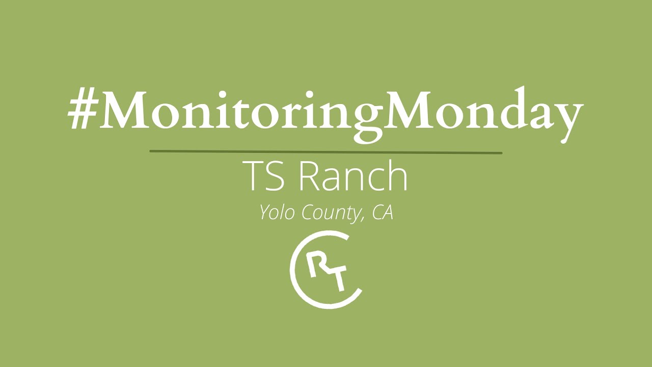 Monitoring Monday on the TS Ranch - YouTube