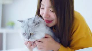 Cats and Their Quirks: Why Do Cats Purr?