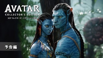 『アバター』3/27 コレクターズ・エディション 発売　予告編